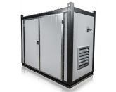 Дизельный генератор CTG 55SD в контейнере